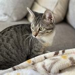 Maximilian Murphy - Facebook