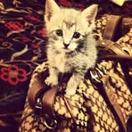 Maximillian Murray - Facebook