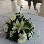 Maximo Aquino - @maximoaquino - Instagram