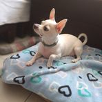 Maximo Aquino - Facebook