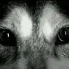 Maximo Arias - @maximoarias3 - TikTok