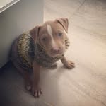 Maximo zuluaga Armenta - @maxi_eltremendo - Instagram