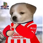Máximo Bernal - Facebook