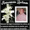 maximo bernal - @katybernal372 - TikTok
