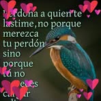 Maximo Elias - Facebook