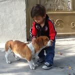 Ventas EL Pekosaurio - @maximo__elias - Instagram