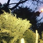 eliot maximo López escobedo - @eliotmaximolopez - Instagram