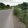maximo flores - @maximo.flores76 - TikTok