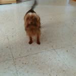 Maximo Franco Medina - @maximofrancomedina - Instagram