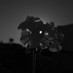 máximo fuentes - @photos_maxi - Instagram