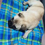 Maximo Fuentes - @maximo.fuentes.102977 - Instagram