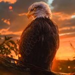 Máximo gallegos - @panchimfgj - Instagram