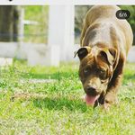 maximo gonzales - @maximogonzales9 - Instagram
