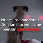 Máximo Guillen - Facebook