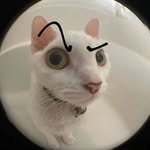 Maximo Guzmán - @mxo._v0v - Instagram