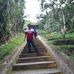 Maximo Herrera - Facebook