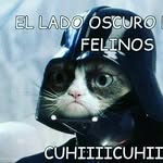 Maximo Jaramillo - @annaluisayt152 - Instagram