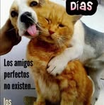 Maximo Luque - Facebook