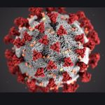 Maximo Madera - @madera4143 - Instagram