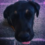Maximo Medina - @maximomedina490 - Instagram