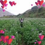 Maximo Medina - @maximo.medina.180 - Instagram