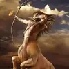 Maximo Medrano - @maximo.medrano2 - TikTok