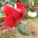José Máximo Fuentes Mejías - @josemaximofuentes - Instagram
