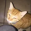 Maximo_Mercado - @maximo_mercado - TikTok