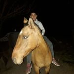maximo mercado - @maximomercado378 - Instagram