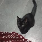 𝐌𝐚𝐱𝐢𝐦𝐨 𝐦𝐨𝐫𝐚𝐥𝐞𝐬 - @maxii___9 - Instagram
