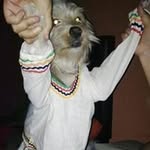 Maximo Ochoa - @ochoa_maximo - Instagram