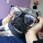 Máximo Paulino - @im.maximo.paulino - Instagram