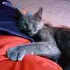 maximoquintero - @quinteromax13 - TikTok