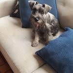 Maximo Guerrero Saenz - @maximoguerrerosaenz - Instagram