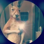 Maximo Saravia - @litius_blaster - Instagram