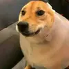 Maximo Saravia - @maximosaravia3 - TikTok