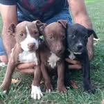 maximo serra - @maximo_serra - Instagram