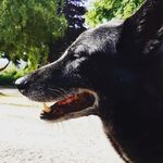 Maximo Serrano-Chan - @maximoserranochan - Instagram