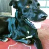 Máximo Silva - @mximo.silva80 - TikTok