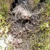 maximotavarez167 - @maximotavarez167 - TikTok