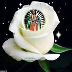 Maximo Toribio Tellez - Facebook