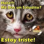 maximo alvarez uribe - @maximoalvarezur - Instagram