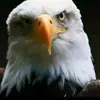 Maximo Vasquez - @maximo.vasquez21 - TikTok