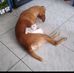Maximo Vasquez - Facebook