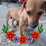 Maximo Velasco - Facebook