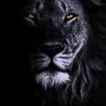 Máximo Velasquez - @maximovelasquez401 - Instagram