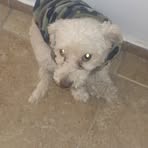 Maximo Varas - Facebook