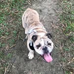 Maximus Baker - @maximus_baker - Instagram