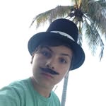 Maximus Baker - @classified_alpaca - Instagram