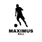 MaximusBall - @maximusball_ - Instagram